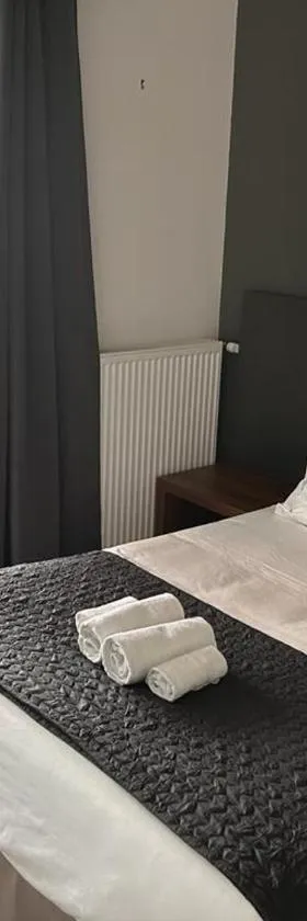 Hotel Moderne Vichy Soirée étape，位于维希的酒店