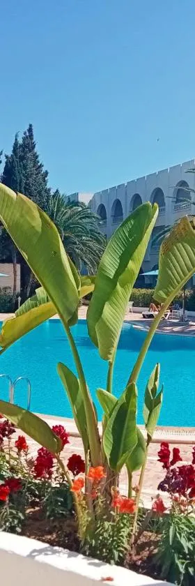 Residence Royal - Deluxe，位于Hammamet Sud的酒店