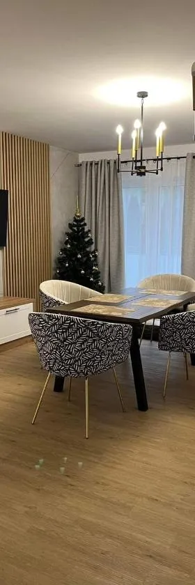 Apartament Złoty 4，位于Zblewo的酒店