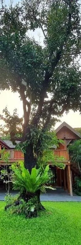 SAK-KA-YA (สัก-กา-ยะ)，位于美索的酒店