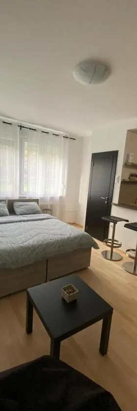 Vist 1 apartment，位于Tošin Bunar的酒店