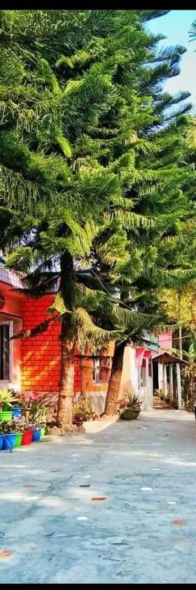 Rupali Tat Ghar and Homestay，位于Majuli的酒店