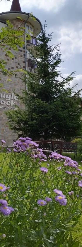 Studio apartment with mountain view at Eagle Rock complex，位于贝利伊斯库尔的酒店