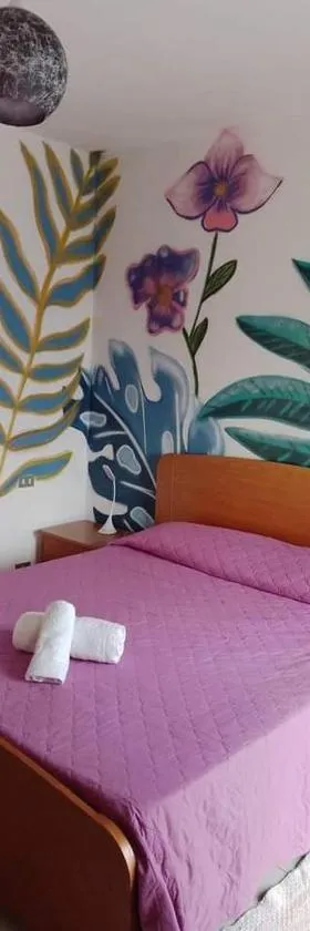 B&B Romy House，位于Pianopoli的酒店