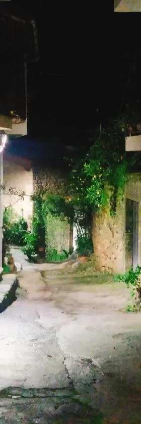 CASA RURAL LA TORRITA，位于阿塞沃的酒店