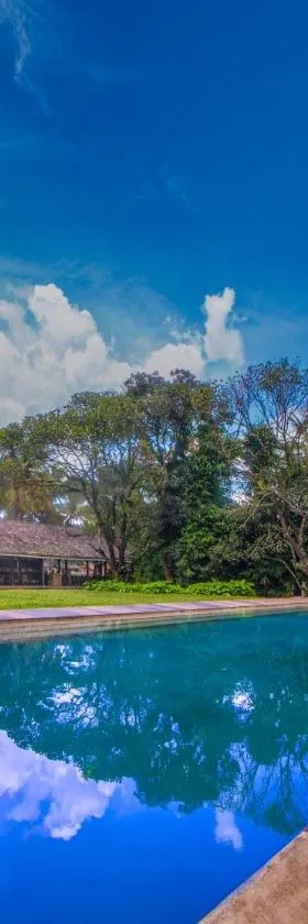 The Orchard Resort，位于贝尔高姆的酒店