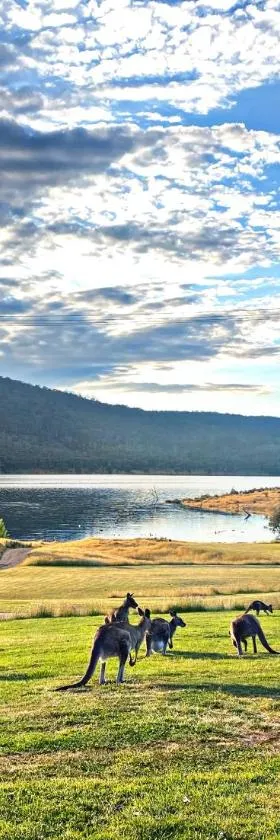 Anglers Reach Lakeside Village，位于Anglers Reach的酒店