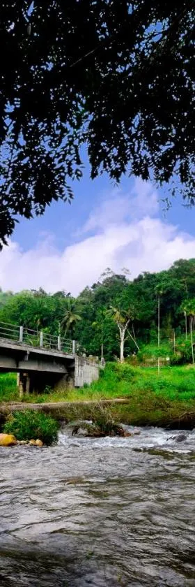 ACH RIVER RESORT，位于Rattota的酒店