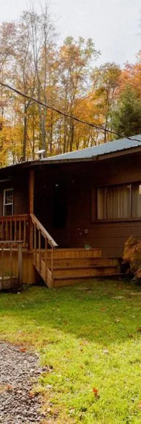 Salmon Creek Cabin - Allegheny National Forest，位于Marienville的酒店