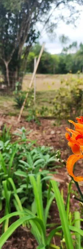 Cabana, lagoas e natureza!，位于Relvado的酒店