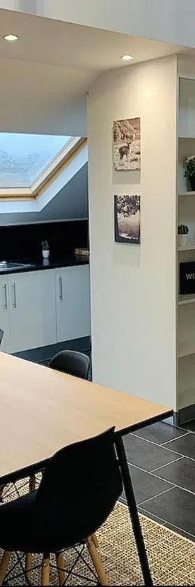 Esch/Alzette city apartment，位于阿尔泽特河畔埃施的酒店