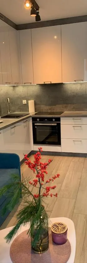 Apartament - Brzeska For You，位于卢宾的酒店