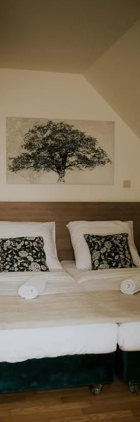 Villa Garden，位于奥莱希尼察的酒店