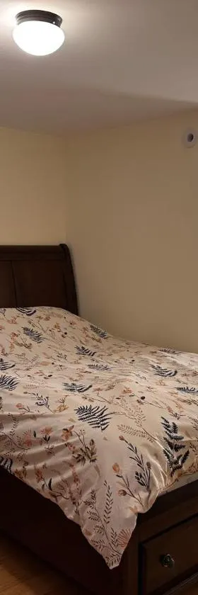 J1 Pleasant Room near Rutgers U, hospitals，位于新不伦瑞克的酒店