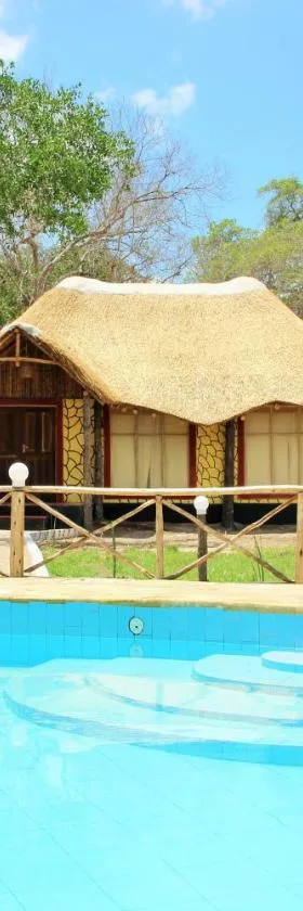 Africa Safari Selous Nyerere national park，位于Nyakisiku的酒店