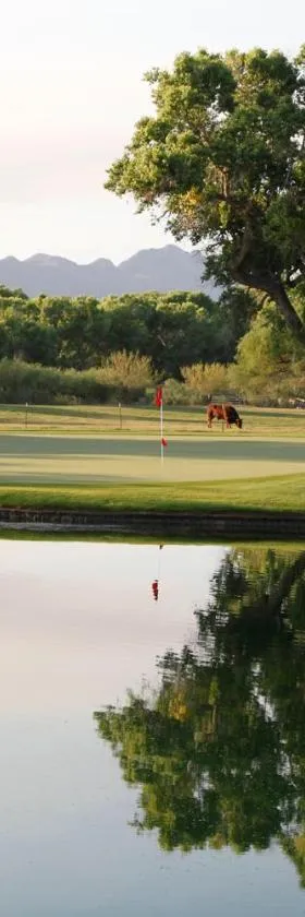 Tubac Golf Resort & Spa，位于Tubac的酒店
