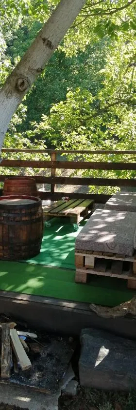Domaćinstvo Trifunović，位于Pretrešnja的酒店
