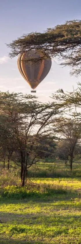 Gnu Ndutu Camp，位于Sinoni的酒店