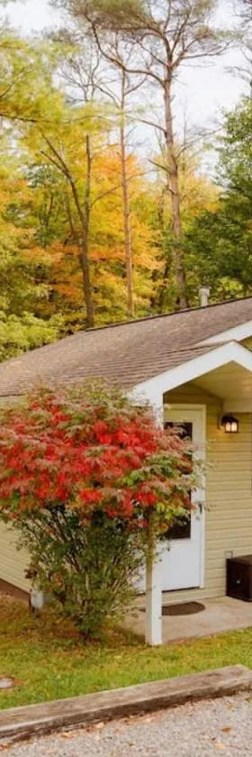 Cozy Cottage near Cook Forest Park, ANF，位于Marienville的酒店
