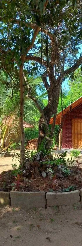 Hotel Chanaya，位于Ambanpola的酒店