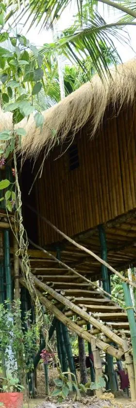 Greenways Tree House and Mud House，位于Chekadi的酒店