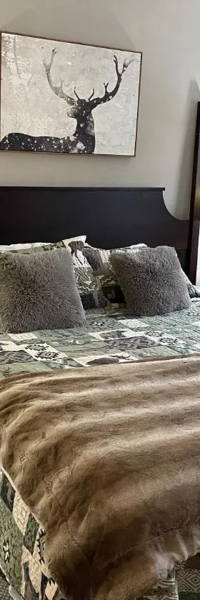 Ski On Off 1BR Suite 1st Flr Sleeps 4 Jiminy Peak，位于汉考克的酒店