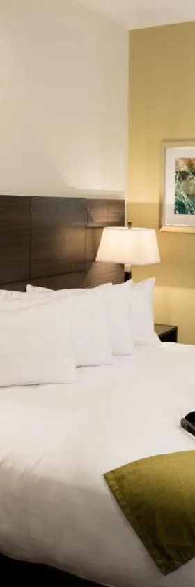 Malana Hotels & Suites，位于科图拉的酒店