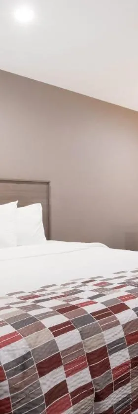 Red Roof Inn Rocky Mount - Battleboro，位于Battleboro的酒店
