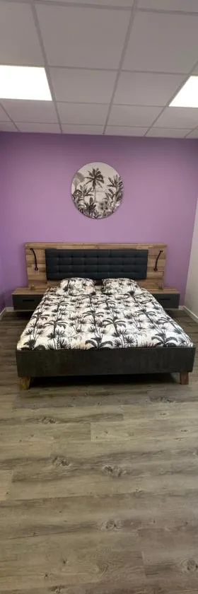 Loft chic standing，位于弗朗孔维勒的酒店