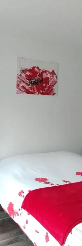 Studio Les coquelicots，位于Saint-Romain-sur-Cher的酒店