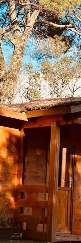 Chalet bois jacuzzi，位于Bessan的酒店