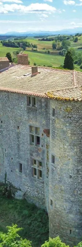 Château de Mézerville，位于Mézerville的酒店