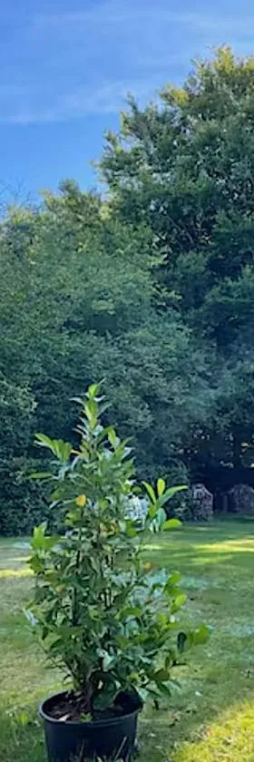Cozy private annex near bathing lake and 30 min. from Copenhagen，位于斯朗厄鲁普的酒店