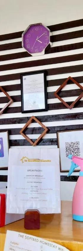 TheSoftbed Homestay，位于圣维森特的酒店