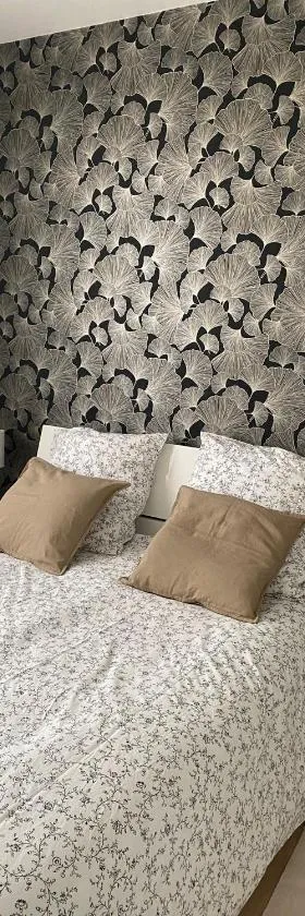 Appartement cosy près de la gare avec parking，位于圣皮耶尔代科尔普的酒店