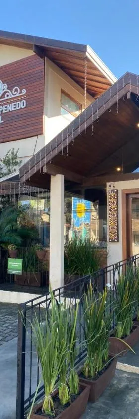 Hotel Aromas de Penedo，位于佩尼多的酒店
