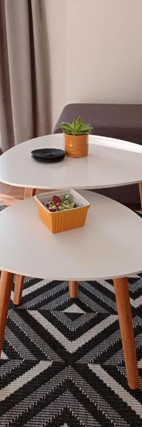 Apartman Vule，位于Vrnjci的酒店