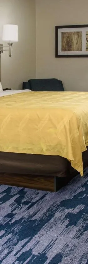 Quality Inn，位于刘易斯堡的酒店