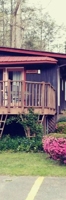 Overlook Cottage，位于Hampton的酒店