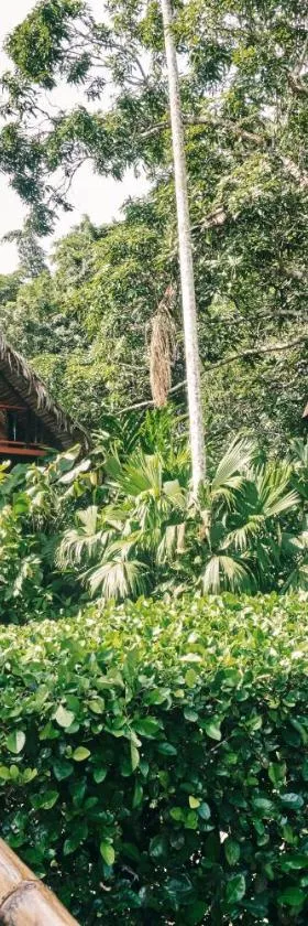 Maloka Napü - Ecodestinos，位于Puerto Nariño的酒店