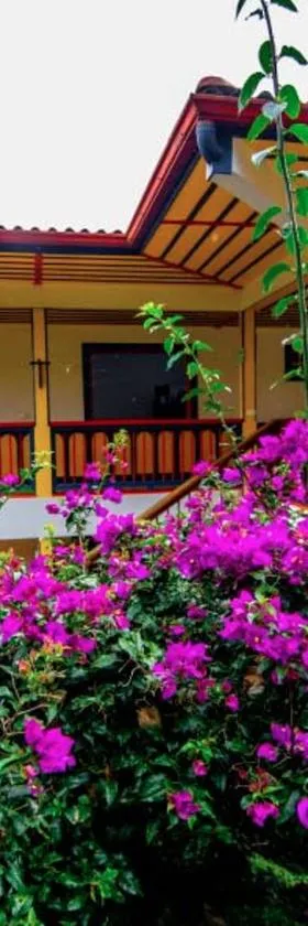 Hotel Terra Belén，位于Belén de Umbría的酒店