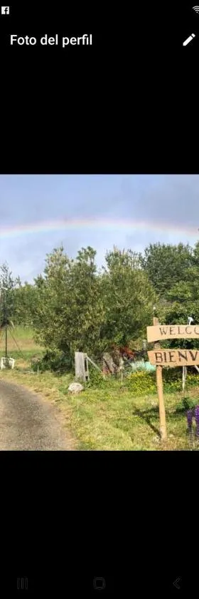 Cabañas Campestres Las Rosas，位于蓬塔阿雷纳斯的酒店