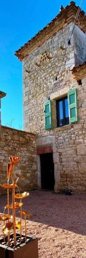 DOMAINE DE LEJOS - Portes d'Albi，位于Lamillarié的酒店
