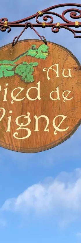 Appart Hotel Au Pied de Vigne，位于瑟穆瓦河畔夫雷斯的酒店