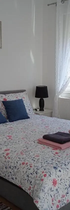 Seoski turizam Stari mlin na Korani room 1，位于卡尔洛瓦茨的酒店