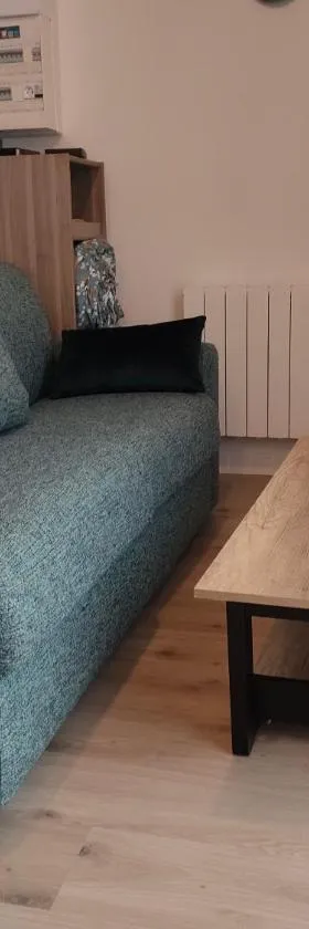 Super studio rez de jardin avec extérieur，位于Lozanne的酒店