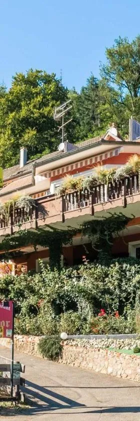 Hotel Restaurant au Floridor，位于坦恩的酒店