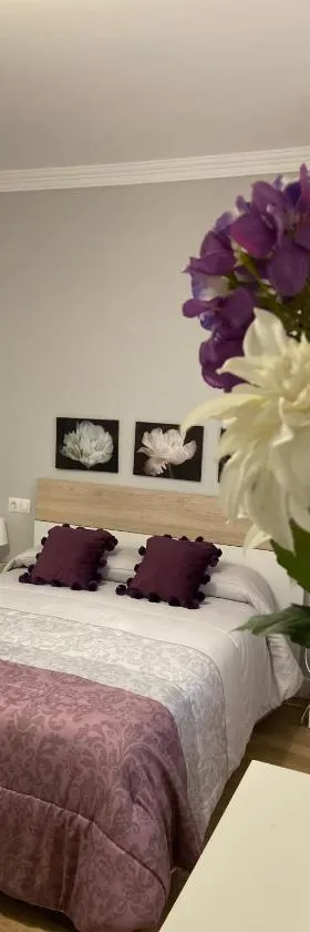 Apartamento Venus，位于Salar的酒店