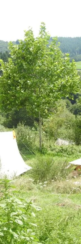 Camping La Forêt du Morvan，位于Larochemillay的酒店