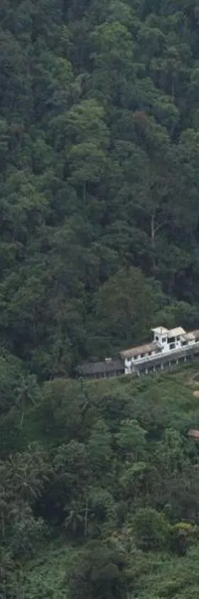Explore Sinharaja Rain Forest Tour Camp，位于Dombagoda的酒店